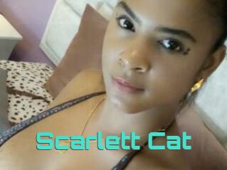 Scarlett_Cat