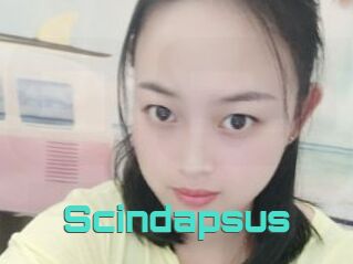 Scindapsus