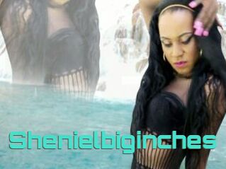 Shenielbiginches