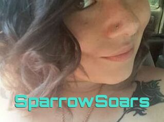 SparrowSoars