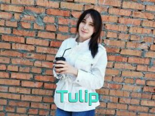 Tulip