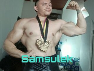 Samsulek