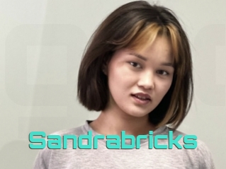 Sandrabricks