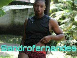 Sandrofernandes