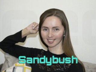 Sandybush