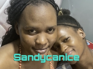 Sandycanice