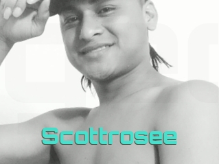 Scottrosee