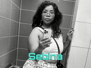 Sebina