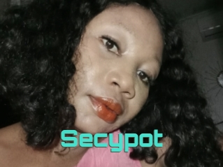 Secypot