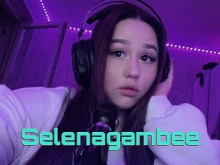 Selenagambee