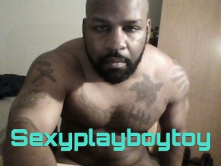 Sexyplayboytoy