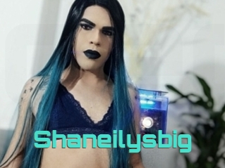 Shaneilysbig