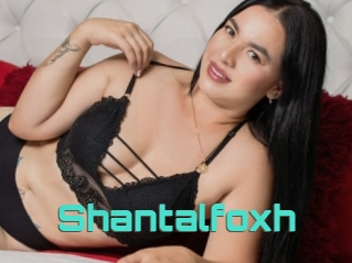 Shantalfoxh