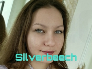 Silverbeech