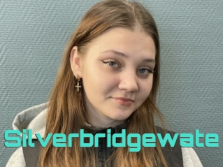 Silverbridgewate