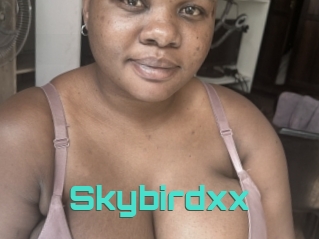 Skybirdxx