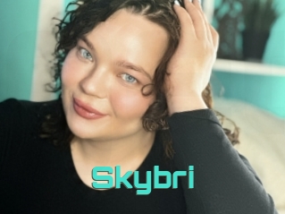 Skybri