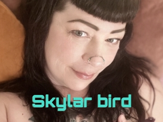 Skylar_bird