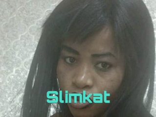 Slimkat