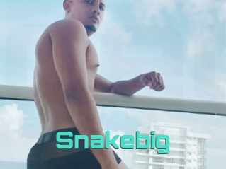 Snakebig