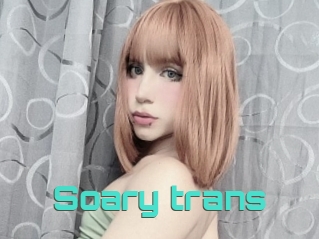 Soary_trans