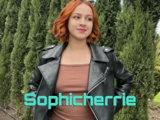 Sophicherrie