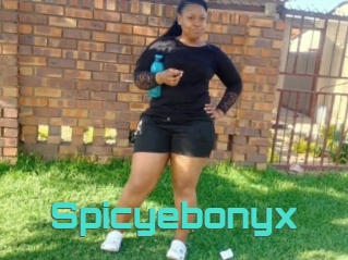 Spicyebonyx