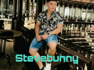 Stevebunny