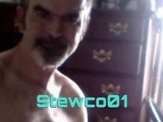 Stewco01