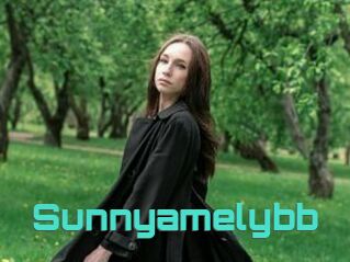 Sunnyamelybb