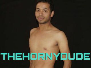 THEHORNYDUDE