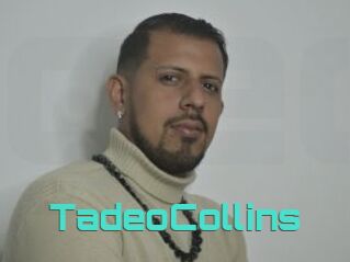 TadeoCollins