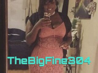 TheBigFine304