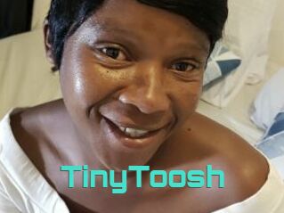 TinyToosh