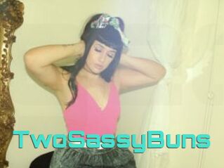 TwoSassyBuns