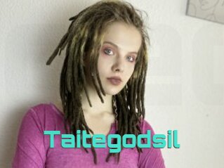 Taitegodsil