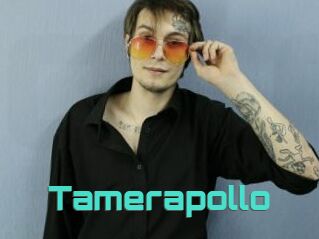 Tamerapollo