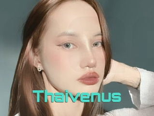 Thaivenus