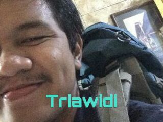 Triawidi