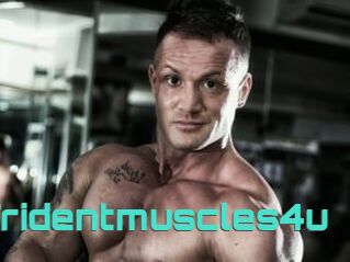 Tridentmuscles4u