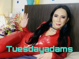 Tuesdayadams