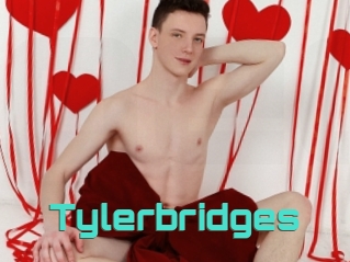 Tylerbridges