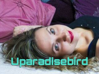 Uparadisebird