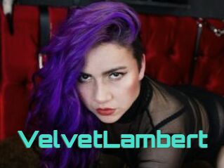 VelvetLambert
