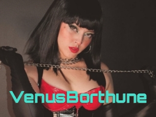 VenusBorthune