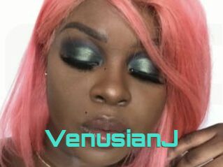 VenusianJ