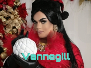 Vannegill