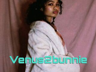 Venus2bunnie