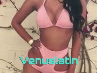 venuslatin Grizzli Edition