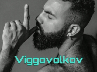 Viggovolkov